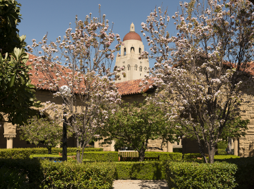 Trees in the Quad