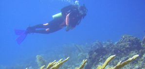 Diver over reef in Belize 