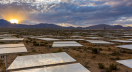 Ivanpah Solar Electric Generating System in the Mojave Desert
