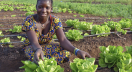 A woman in Kalalé, Benin displaying crops grown with solar-powered irrigation