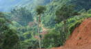 Fragmented forests in Myanmar 