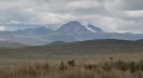 A high-altitude wetland that provides freshwater to Quito, Ecuador, is protected from grazing