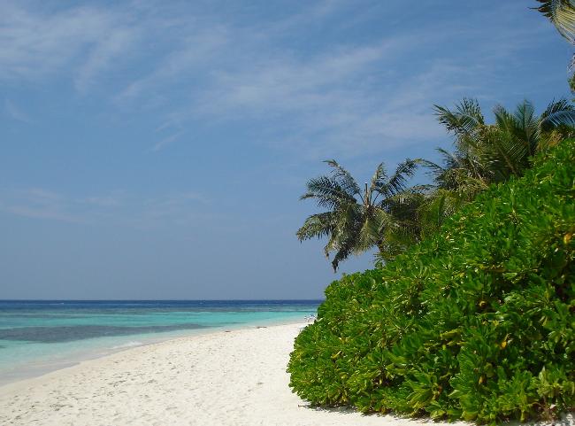 MALDIVES