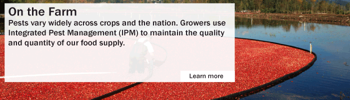 On the Farm - Modern agricultural practices require the use of pesticides to
maintain the quality and quantity of yields. While pests vary across crops, growers must apply in-depth protection to all crops to prevent pest damage.