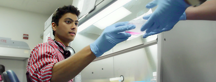 Stanford Biosciences student working at a fume hood