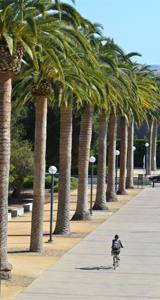 Bicyclist rides through the Stanford School of Medicine