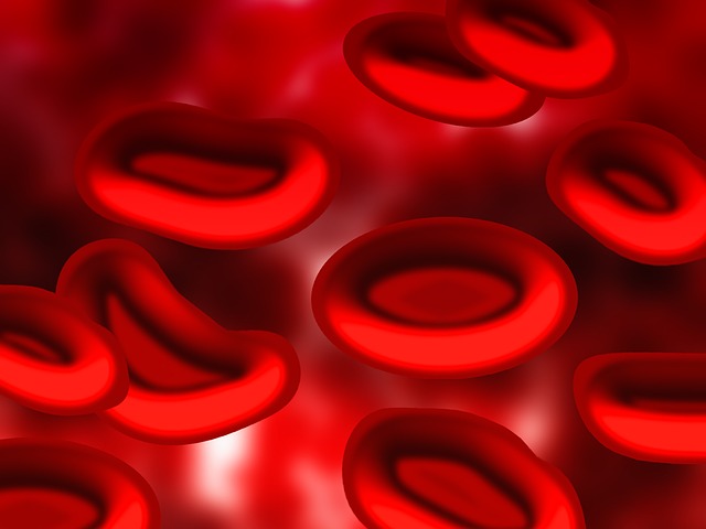 red blood cells