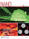 NanoLetters vol. 13, issue 11 cover