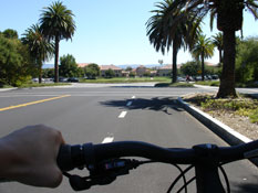 biking on palm drive