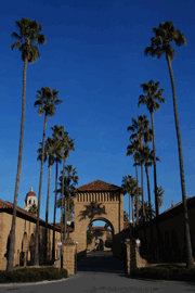 Stanford Quad Image