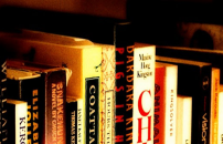 Close up crop of bookshelf