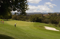Golfers playing 18 holes on a sunny day at the Stanford Golf Course.