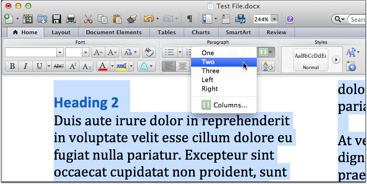 Screenshot of the Column tool in MS Word for Mac.