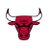 Chicago Bulls