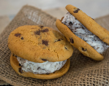 Gelato cookie sandwich.