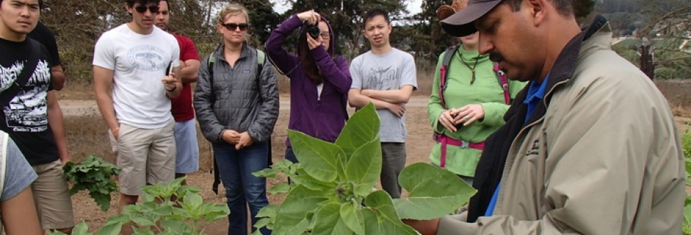 People discussing plant