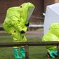 Personnel in hazmat suits work to secure a tent covering a bench in the Maltings shopping center in Salisbury, England, on Thursday, March 8, 2018, where former Russian double agent Sergei Skripal and his daughter Yulia were found critically ill by exposure to a nerve agent on Sunday.