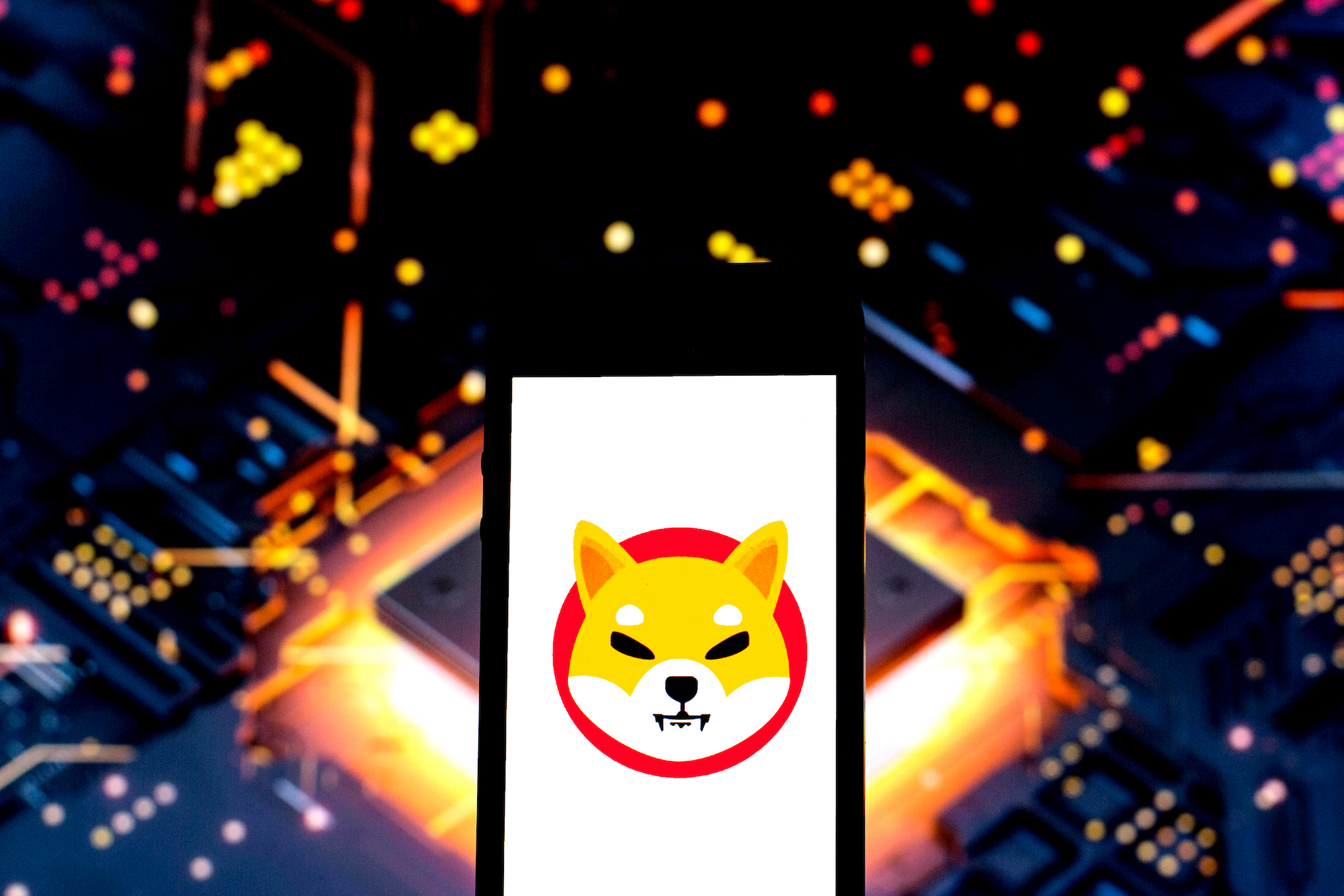 In this photo illustration a Shiba Inu Coin logo seen displayed on a smartphone with a computer chips in the background.