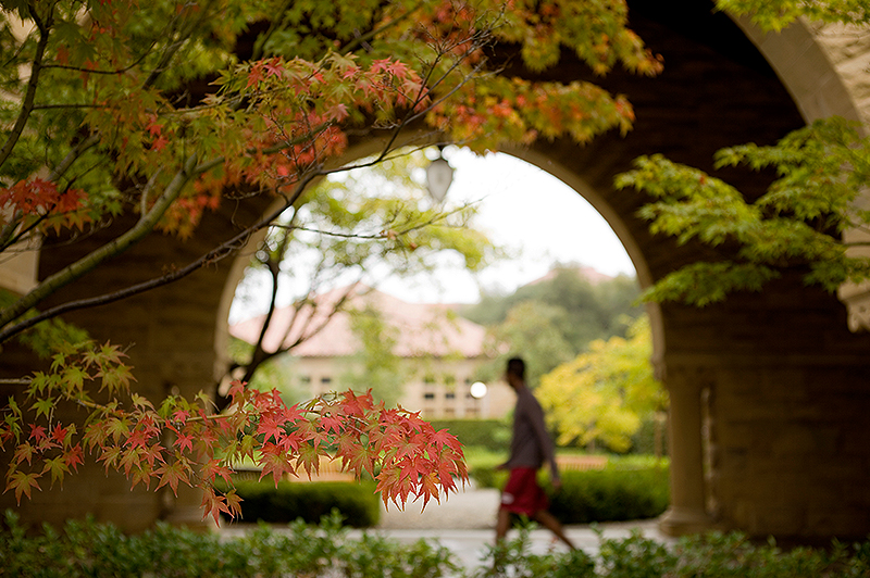 Photo:  Stanford's Main Quad