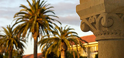 photo of building column with palm trees in the background