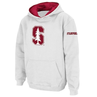 Men's Fanatics Branded Cardinal Stanford Cardinal Campus Pullover Hoodie