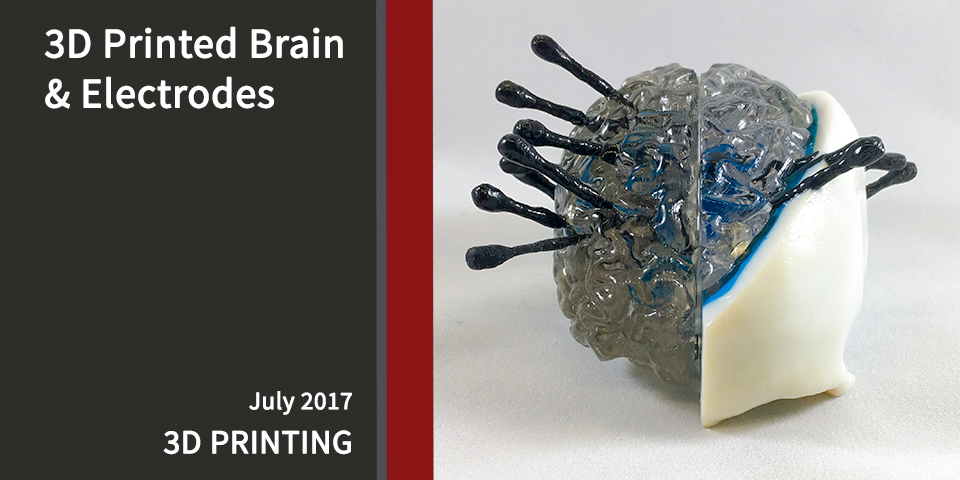 3D-Print-Babak-Brain