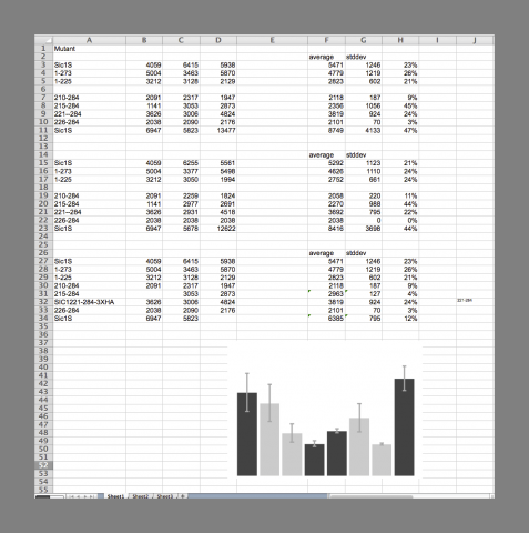 Spreadsheet bad practices, image by Amy Hodge