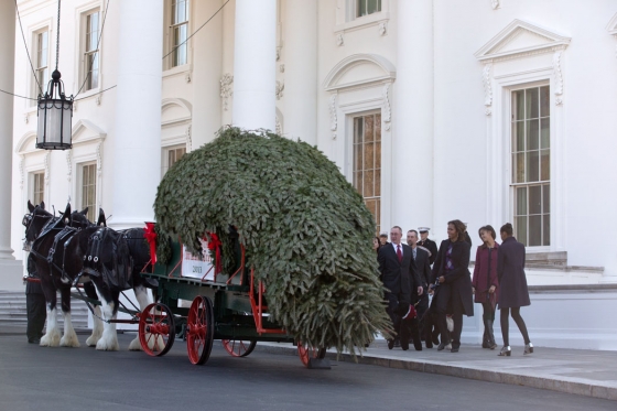 First Lady Michelle Obama, with daughters Sasha and Malia, along with Obama family pets Bo and Sunny, welcome the arrival of the official White House Christmas tree at the North Portico of the White House, Nov. 29, 2013.