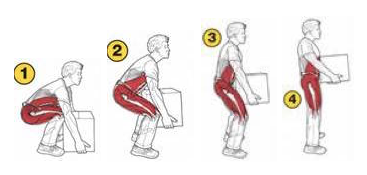 Safe Lifting Procedure