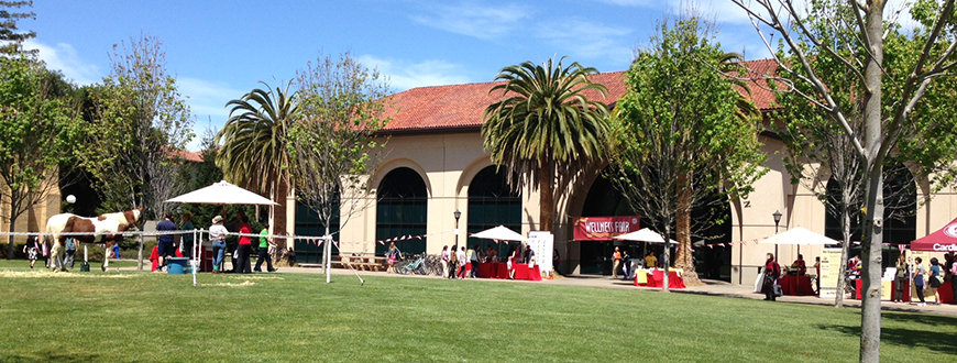 Wellness Fair activities outside Arrillaga Center for Sports & Recreation, including a horse petting station