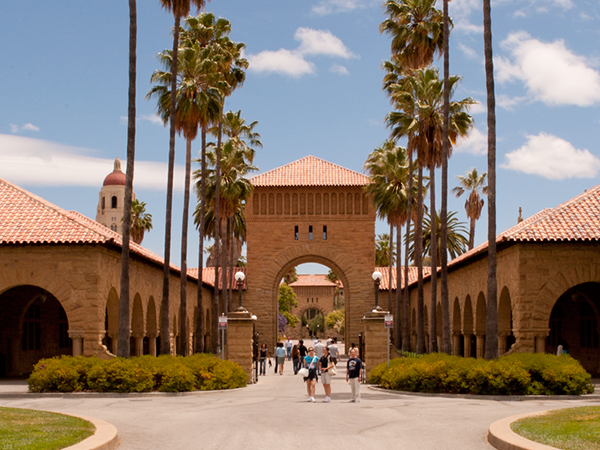 Palm trees along Memorial Court in Quad