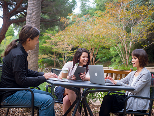 Group of one male and two female colleagues working together on laptops at one table