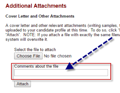 Screenshot from online application showing where to enter comments about the file