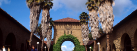 Quad arch palms