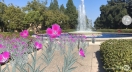 Image from augmented reality project on Stanford campus