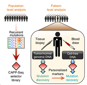 CAPP-Seq