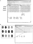 Software tools for high-throughput analysis and archiving of immunohistochemistry staining data obtained with tissue microarrays