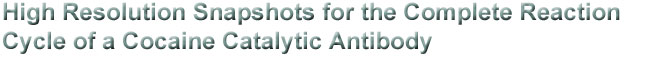 High Resolution Snapshots for the
Complete Reaction Cycle of a Cocaine Catalytic Antibody