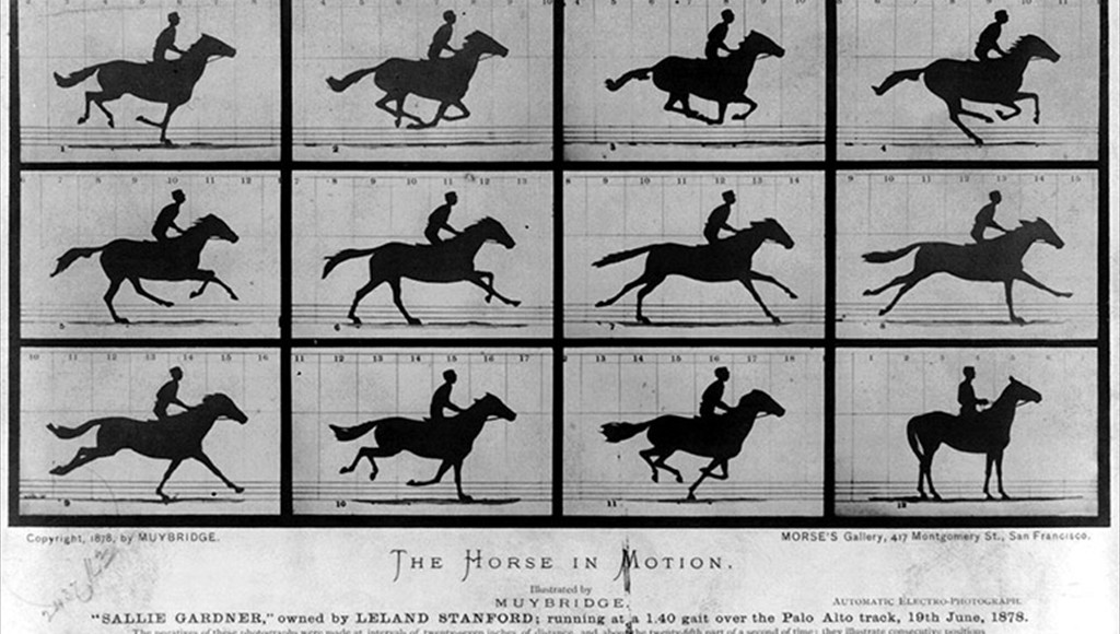 Galloping Horse by Eadweard Muybridge, 1878