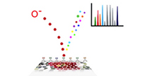 Multiplexed Ion Beam Imaging