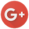 Google+ icon