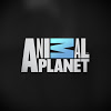 Animal Planet