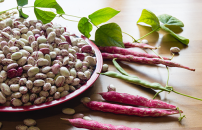 purple peas and their seeds