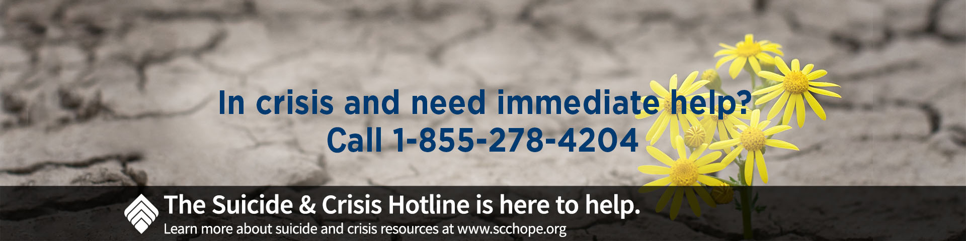 Crisis hotline banner