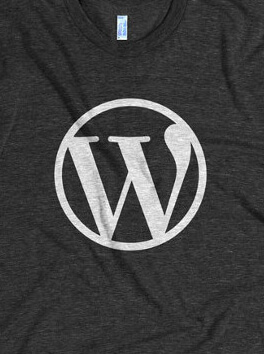 WordPress Swag Ürünleri