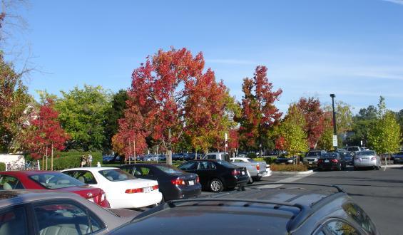 cars parked 