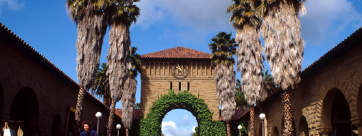 Quad arch palms