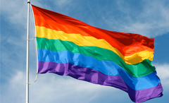 LGBTQ Flag